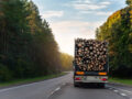 Quelles sont les démarches pour une exportation de bois ?