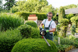 4 avantages de recourir à un paysagiste avec expérience