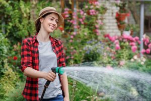 Arrosage du jardin  quelles sont les erreurs à ne jamais commettre