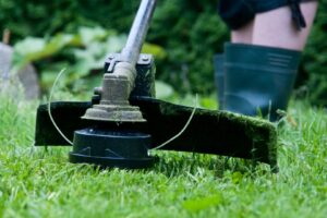 entretien des gazons naturels