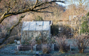 jardin pour l’hivernage