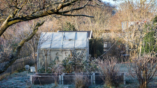 Les éléments à savoir pour bien entretenir son jardin en hiver