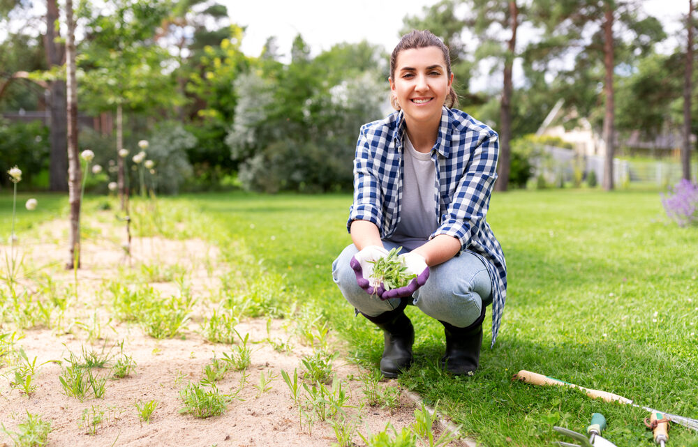 Entretenir facilement son jardin : conseils et astuces