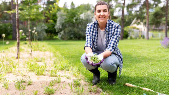 Entretenir facilement son jardin : conseils et astuces