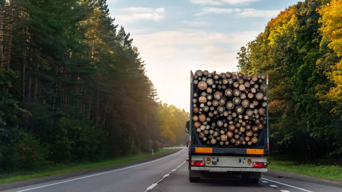 Quelles sont les démarches pour une exportation de bois ?