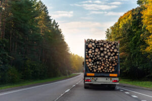 exportation de bois