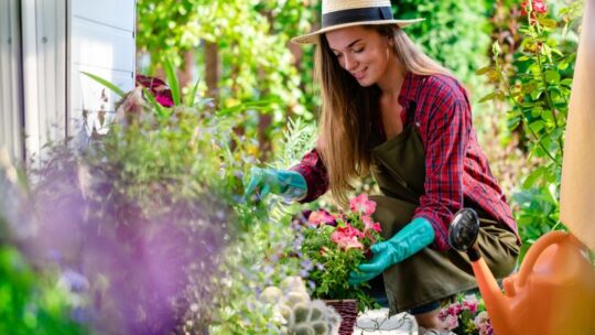 Quelques astuces pour bien entretenir son jardin