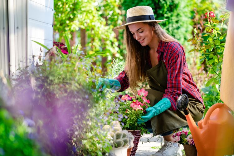 Quelques astuces pour bien entretenir son jardin