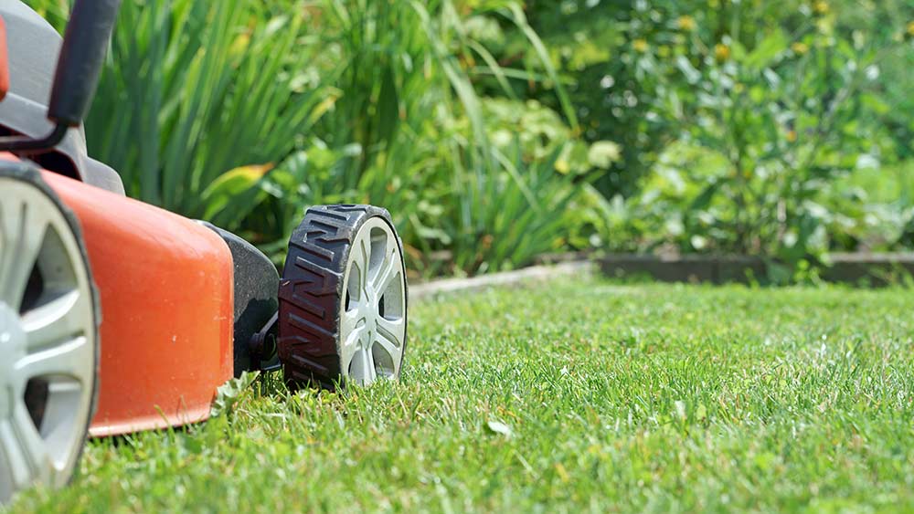 Quels tarifs pour un bon entretien de jardin ?