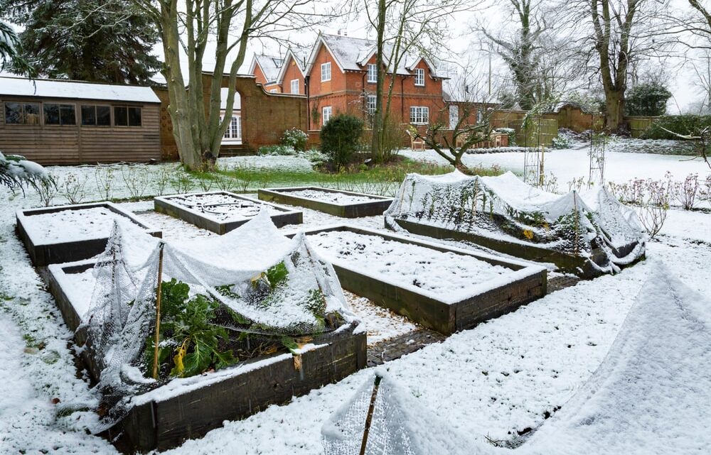 Comment entretenir les espaces verts en hiver ?