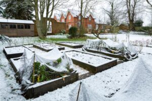 entetien espace vert en hiver