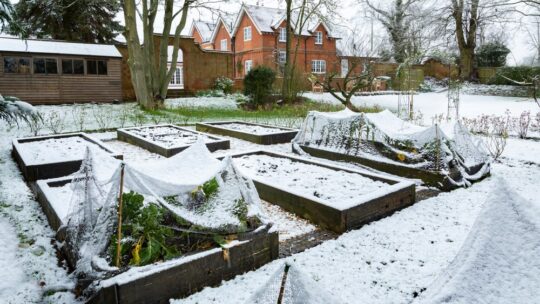 Comment entretenir les espaces verts en hiver ?