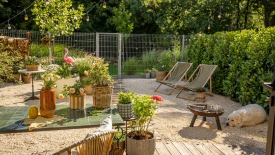 Comment Entretenir Son Jardin en Hiver ?