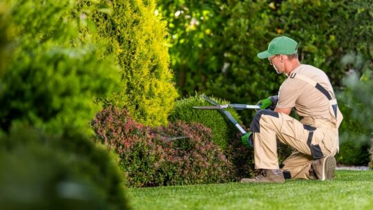 Jardinier paysagiste : créer, aménager et entretenir des espaces extérieurs uniques