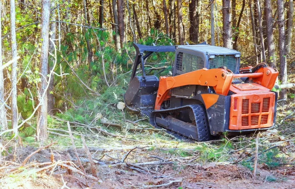 Débroussaillage et prévention incendie : conseils pour particuliers et pros