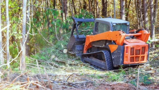 Débroussaillage et prévention incendie : conseils pour particuliers et pros