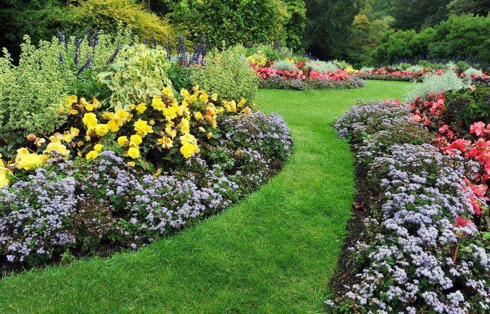 Créer un espace végétal harmonieux : astuces pour organiser son jardin autour des massifs et des plantes