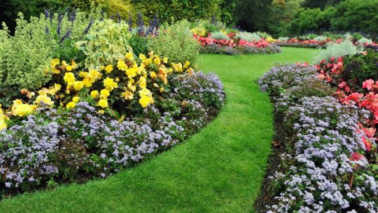 Créer un espace végétal harmonieux : astuces pour organiser son jardin autour des massifs et des plantes
