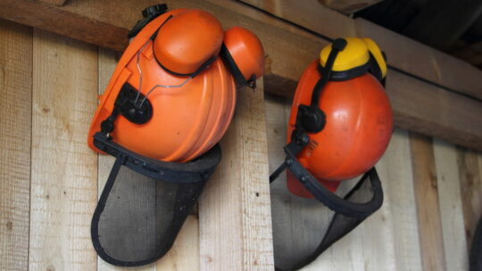 Équipements de protection individuelle en travaux forestiers : normes, usages et limites